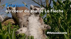 Évasion : au cœur du zoo de La Flèche