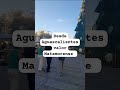 29 de diciembre de 2024