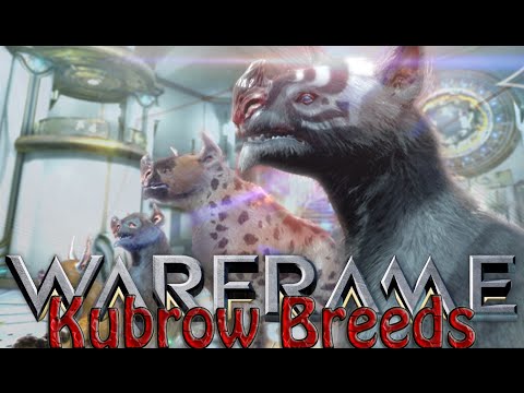 kubrow  2022 Update  Warframe - Kubrow Breeds \u0026 Mods