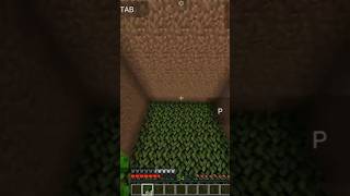 Celebrity Minecraft fall damage vs blocks chunk #minecraft #shorts Profile