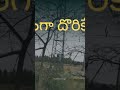 ఎంత ఎక్కువ ప్రేమిస్తే అంత తక్కువ విలువ ఇస్తారు... best relationship quotes love quotes