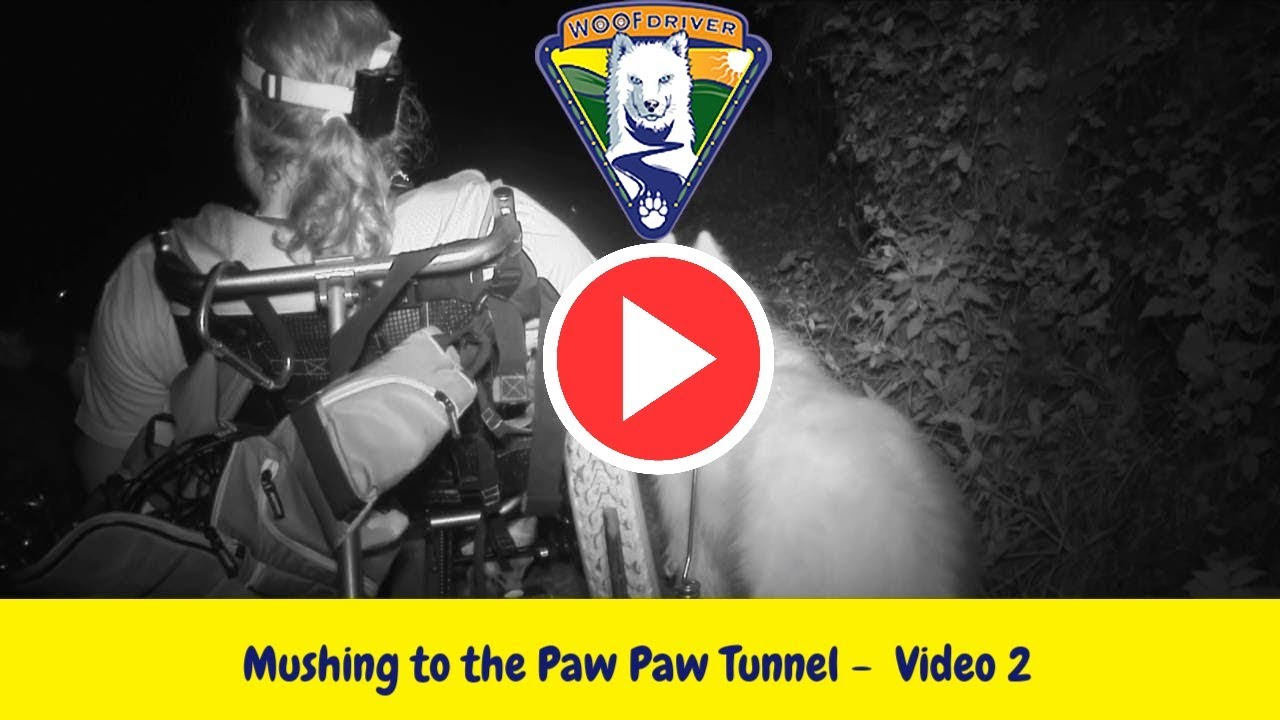 WereWooFS at the Paw Paw Tunnel (Video 2) Mushing to Tunnel dog videos to show your dog