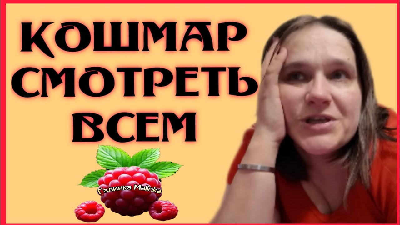 Бровченко /Кошмар /Смотреть всем /Обзор /Семья Бровченко /Нет слов 