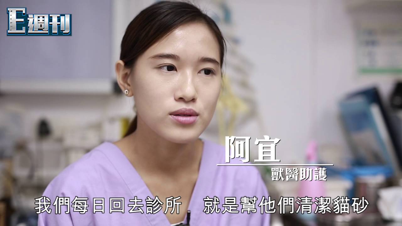 幾萬蚊讀助護課程？　獸醫︰唔好嘥錢