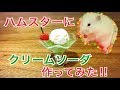ハムスターにクリームソーダ作ってみた♪
