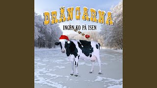 Ingen Ko På Isen