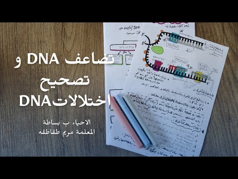 فيديو: ما هي وظيفة هليكاز RNA؟