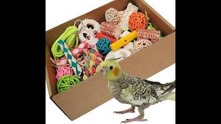 Colorful Parrot Foraging Toy Box for Healthy, Happy Birds