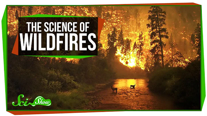 The Science of Wildfires - DayDayNews