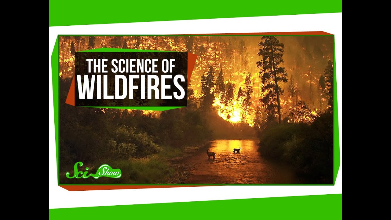 How Is Chemistry Involved In Wildfires?