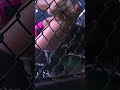 Pearl Gonzalez uses her elbows against Daiane Firmino #bjj #mma #sports