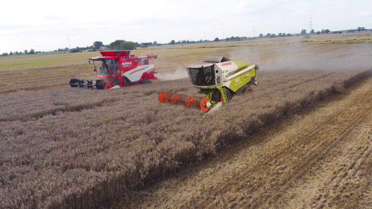 CHIŃSKI I NIEMIECKI KOMBAJN👉 AUPAX GV100 VS CLAAS TUCANO 420