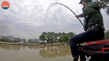 Kinh nghiệm cân phao câu đài sát bầu khi đánh hồ đáy nhiều bùn