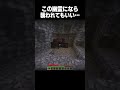 この幽霊になら襲われても良い! #minecraft