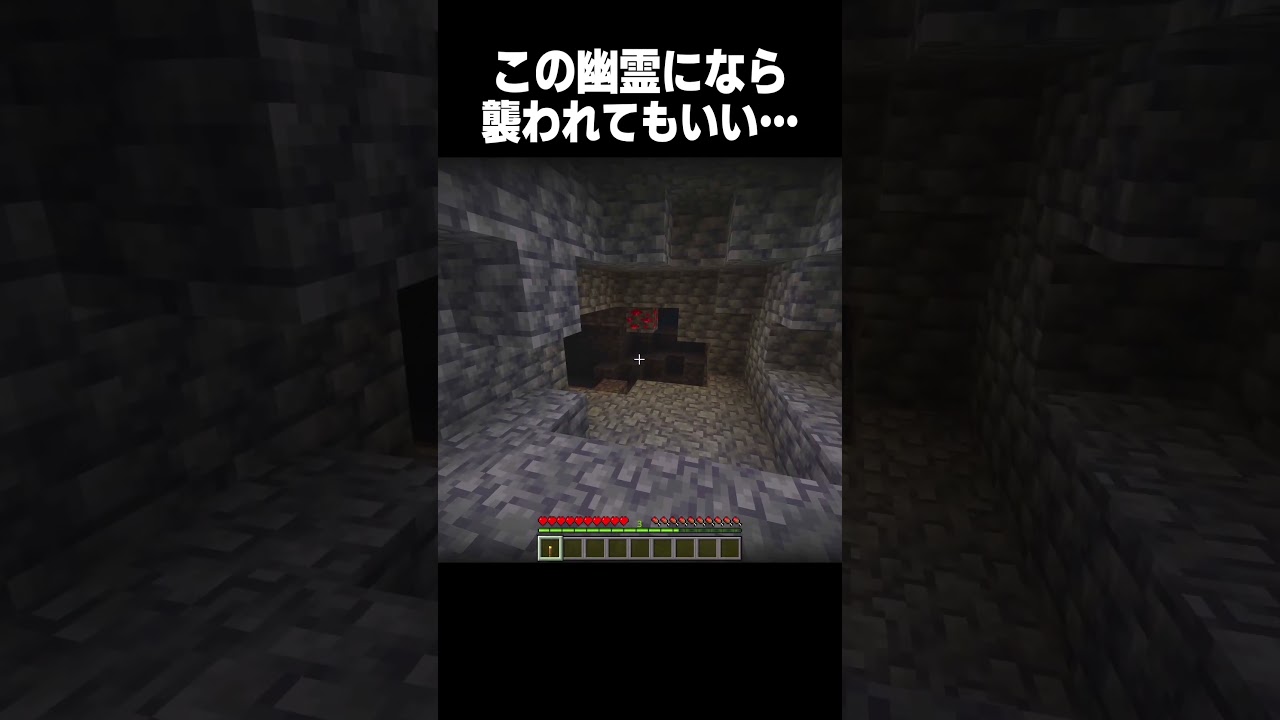この幽霊になら襲われても良い! #minecraft