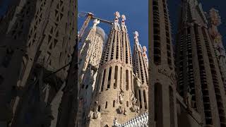 Barcelona Lve Dj Flux 2024