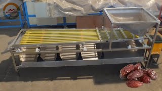 Automatic medjool dates grading sorting machine industrial palm date jujube size grader sorter Wealth