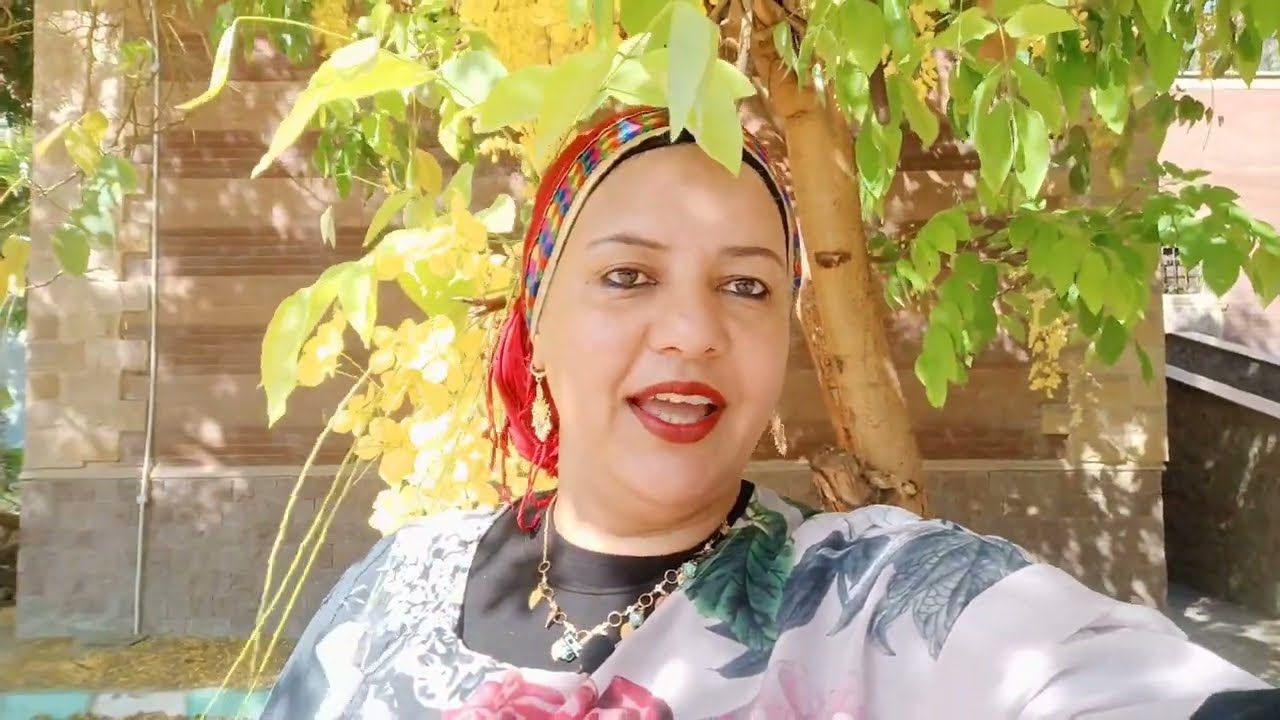 الخيار شنبر !!كاسيا فستيولا وفوائد علاجيه من اشجار الشوارع