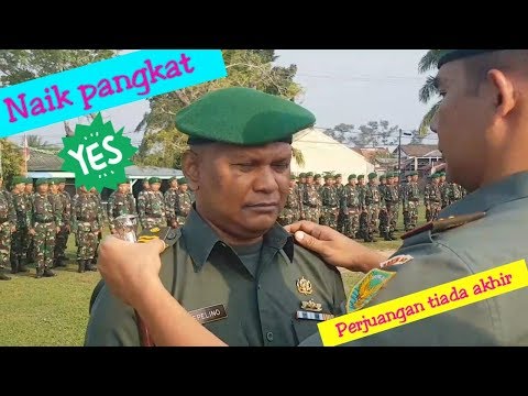 Video: Apakah danton seorang jacobin?