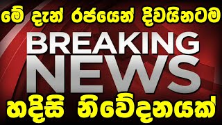 Today Hiru Sinhala News sri lanaka Here is another special news in lanka screenshot 1