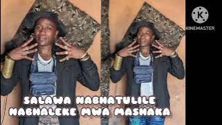 SALAWA NYANGUMI NABHATULILE NABHALEKE MWA MASHAKA BY LWENGE STUDIO 2024