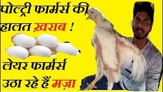 पलटर नयतम त अड आशमन क और Poultry And Egg Rate Update
