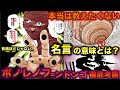 【ハンターハンター考察】ボノレノフ＝ンドンゴ徹底考察PART２！名言の音速ほどじゃないや念能力、ヒソカとの今後についても！【HUNTER×HUNTER】