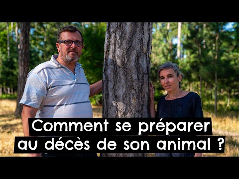 Vidéo: Donnez la priorité à votre animal lorsqu'il est temps de dire au revoir