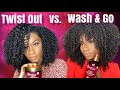 Twist Out vs Wash and Go | Mielle Organics Pomegranate and Honey