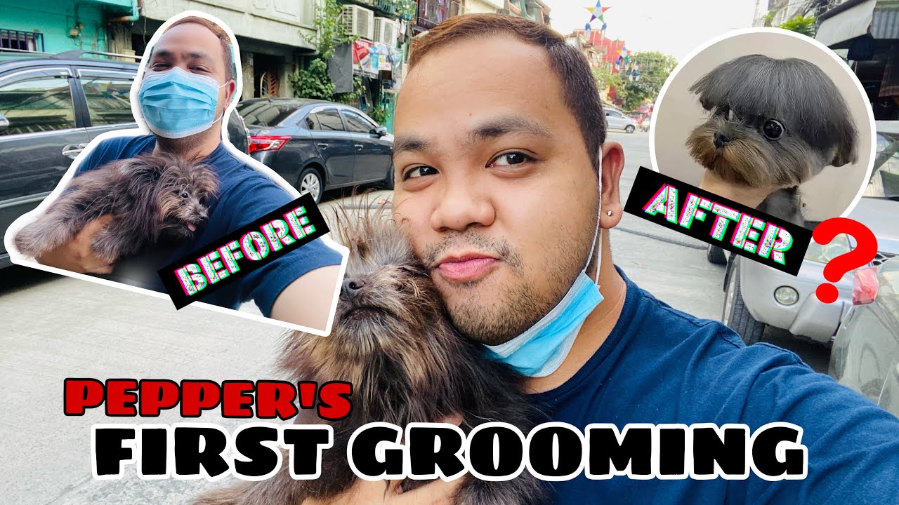 PEPPER’S FIRST GROOMING (cute ng anak ko) YouTube