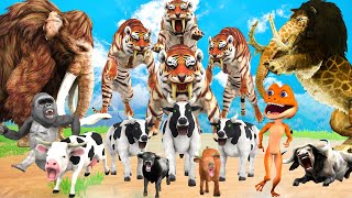 10 Giant Tiger vs 10 Cow Buffalo Bull vs Monster Lion Attack Cow Buffalo Rescue By Mammoth Elephant