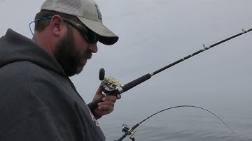 Spoon Stacking On Downriggers : Trolling Rod Set Up Big Lake Salmon, Steelhead & Lake Trout