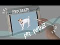 Procreate | Pet Portrait Illustration