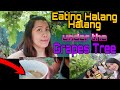 Eating &#39;Halang Halang&#39; Under the Grapes Tree