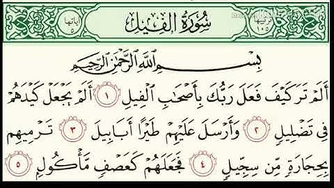 سورة الفيل مكررة ٧ مرات للقارئ هزاع البلوشي صوت رائع ما شاء الله 🌺