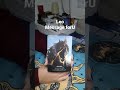 #leo your message #tarot