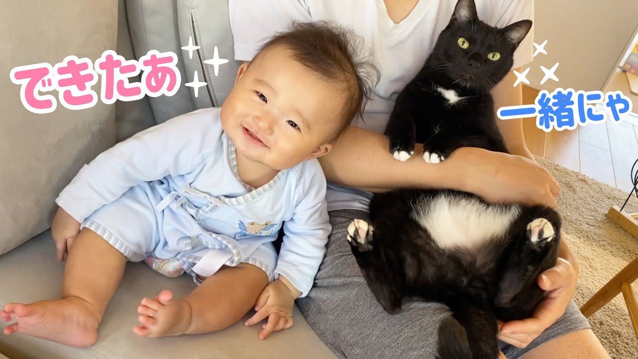 👶🏻初めてのお座り♪ 何するのも一緒の兄猫が愛おしい✨ - YouTube