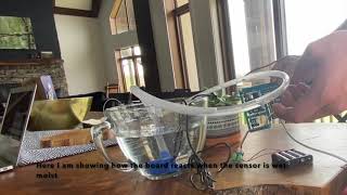 Minor Project - EECS 1021