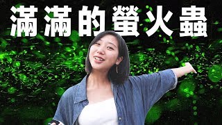 【花蓮旅遊Vlog】花蓮螢火蟲季開始了！只限定一個月！｜林宣 ...