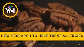 Researchers discover new cell to help treat allergies | Your Morning