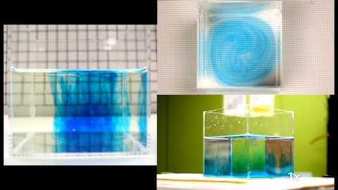 Fluid Plumes in Rotating and Non-rotating Reference Frames