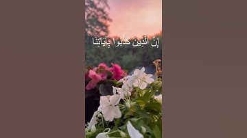 #قرآن #تلاوة_خاشعة #تلاوة_هادئة #tilawat #راحة_نفسية #محمداللحيدان