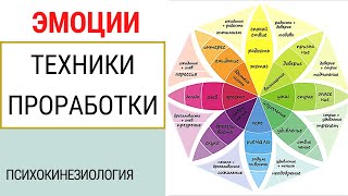 ЭМОЦИИ.РОМАШКА ПЛУТЧИКА.ТЕХНИКИ ПРОРАБОТКИ ЭМОЦИЙ. ПСИХОКИНЕЗИОЛОГИЯ. КИНЕЗИОЛОГИЯ.