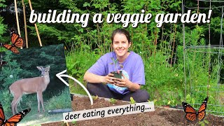 Starting a backyard veggie garden // eco-friendly house vlog #1