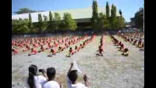 CHAMPION - Grade 8  DMNHS Field Demonstration 2014 Part 2