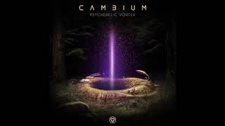 Cambium & Spiritual Mode - Psychedelic Vortex