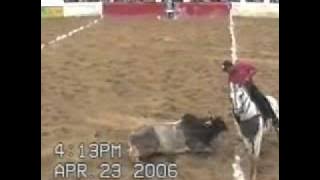 Vaqueiro apaixonado Vaquejada pesqueira...