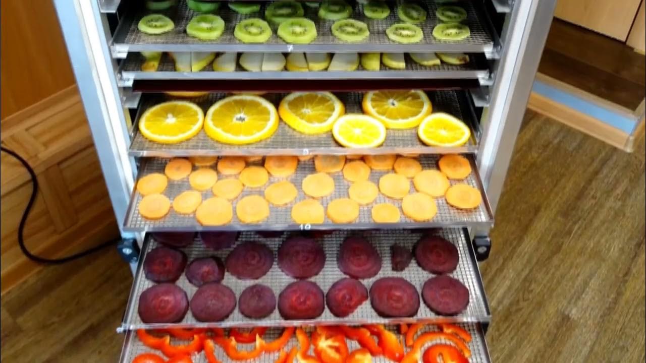 Обзор сушилки для овощей и фруктов ФлексиХИТ. Сушим фрукты, овощи ...