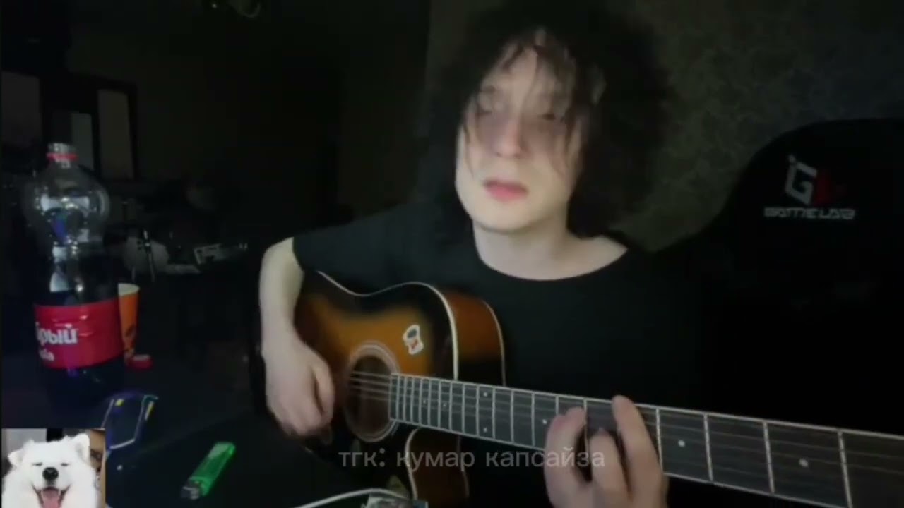 CUPSIZE - я люблю котят