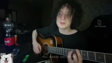 CUPSIZE - я люблю котят